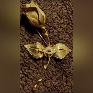 “Christmas rose “ by Giovanni